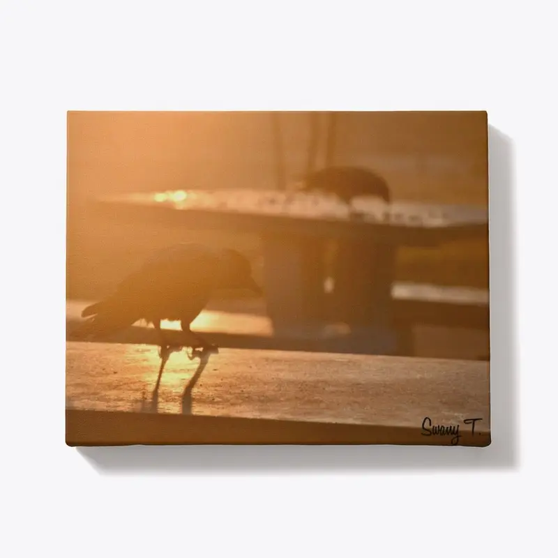 Lone Sparrow Canvas by Swany T.